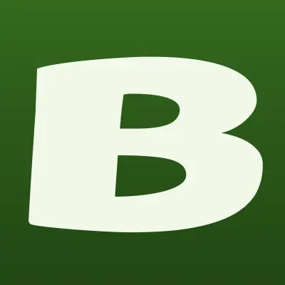 Bert Flowers, магазин цветов, лого-визитка